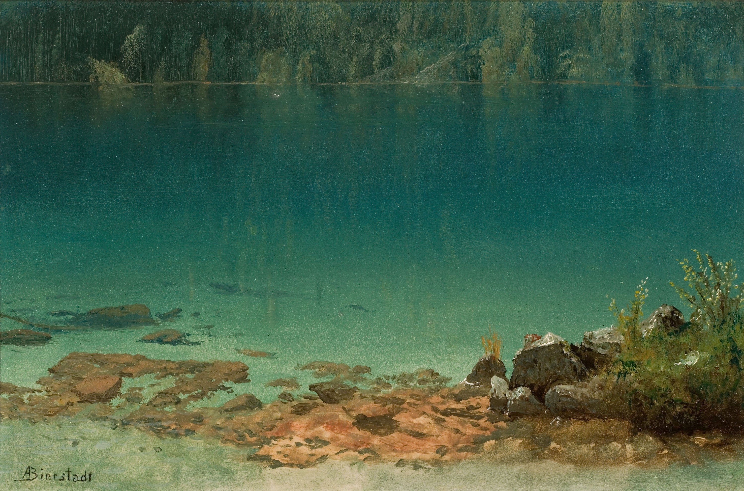 Scène du lac - Albert Bierstadt