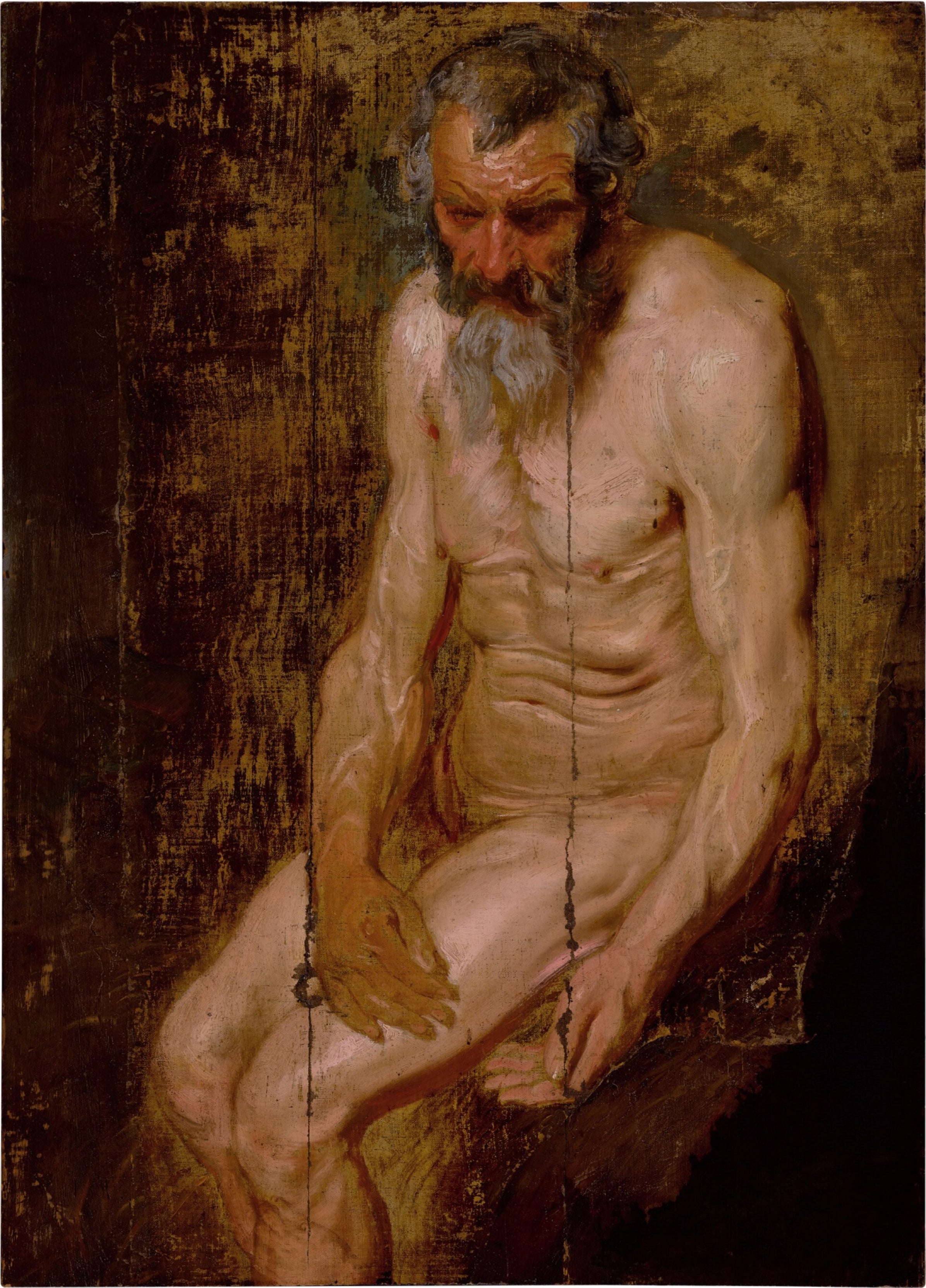 Saint Jérôme - Antoine van Dyck