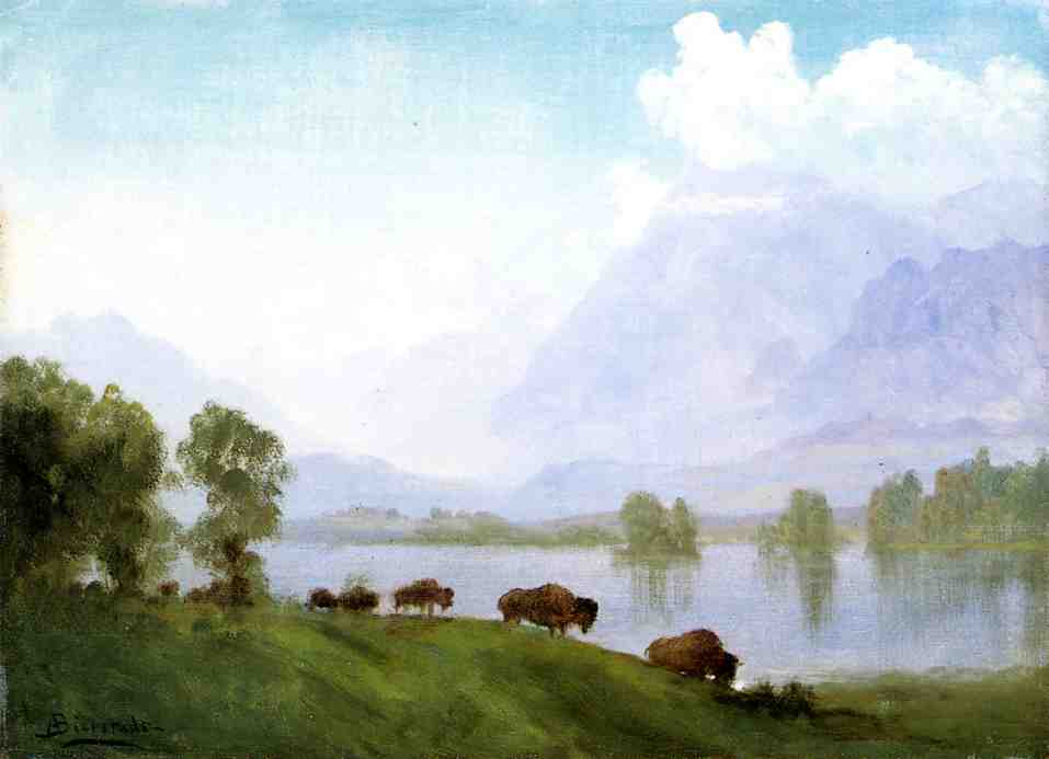 Pays des bisons - Albert Bierstadt