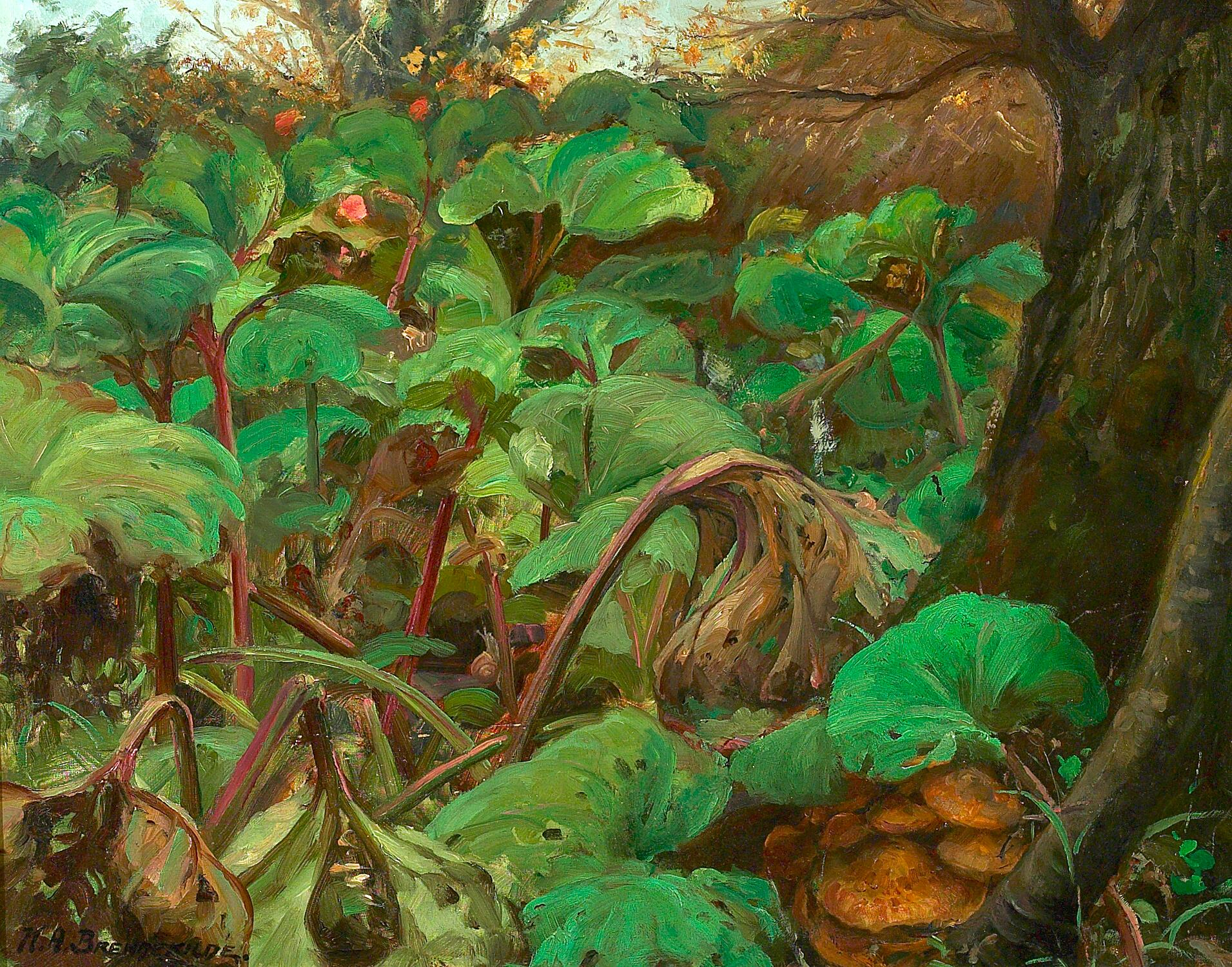 Jardin de rhubarbes à Herlufsholm. - H. A. Brendekilde