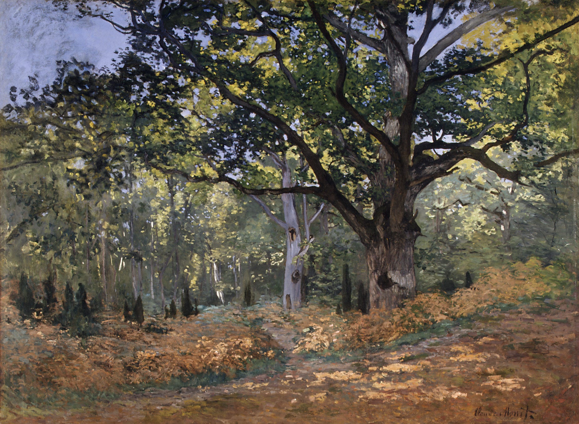 Bodmer Meşesi, Chailly Yolu - Claude Monet