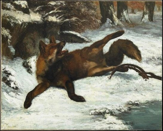 Le Renard pris au piège - Gustave Courbet