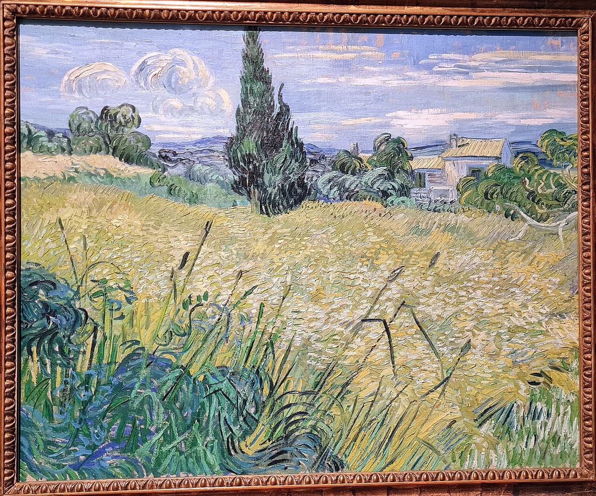 Vincent van Gogh   Green Wheat Field