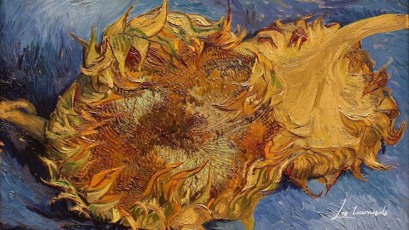 Van Gogh Ayçiçekleri