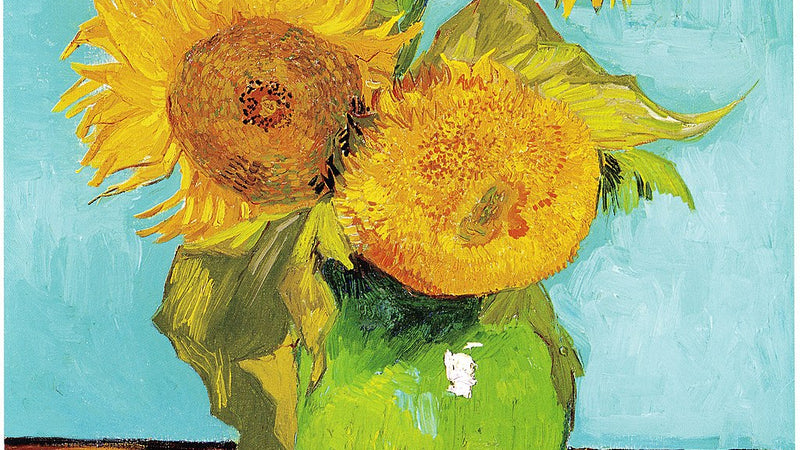 Van Gogh Çiçeği