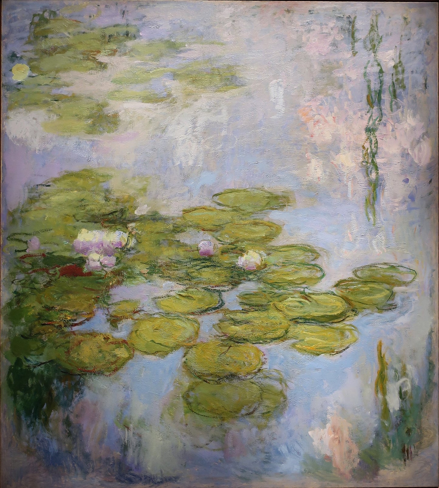 🌿 Nilüferler – Fondation Beyeler