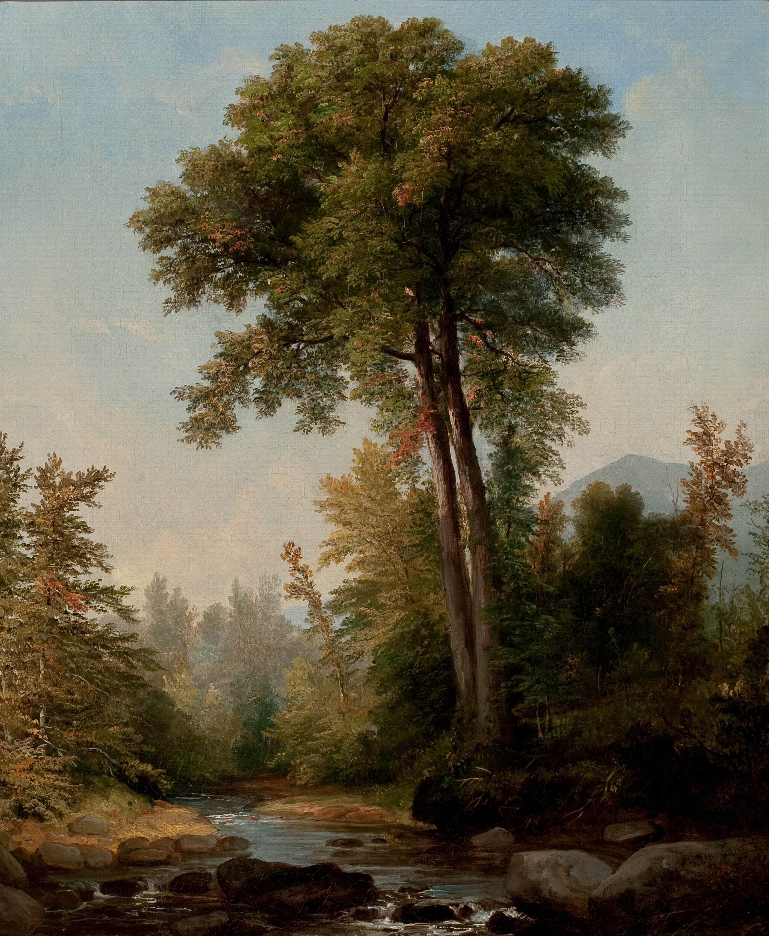 Un monarque naturel - Asher Brown Durand