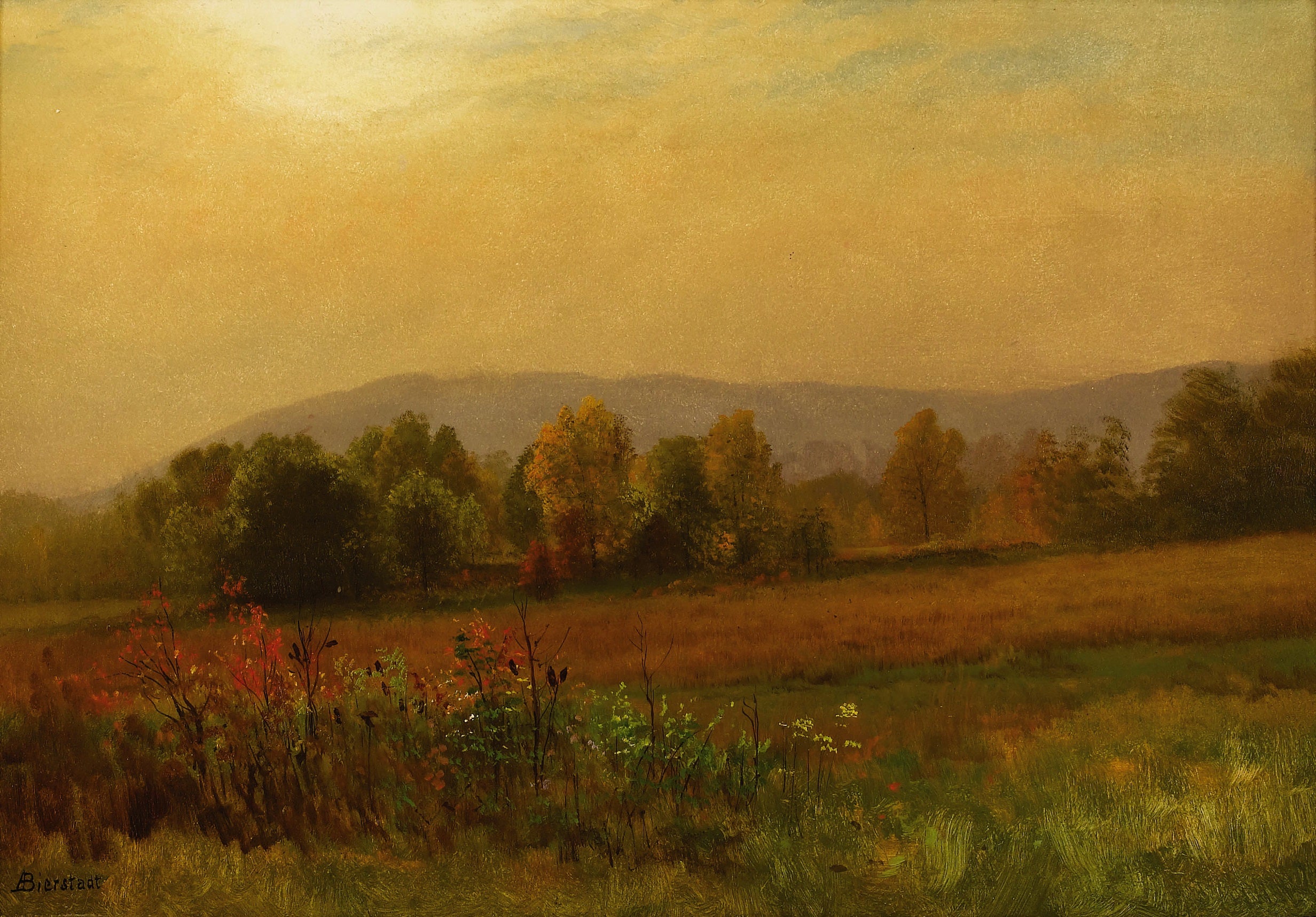 Paysage d'automne, Nouvelle-Angleterre - Albert Bierstadt