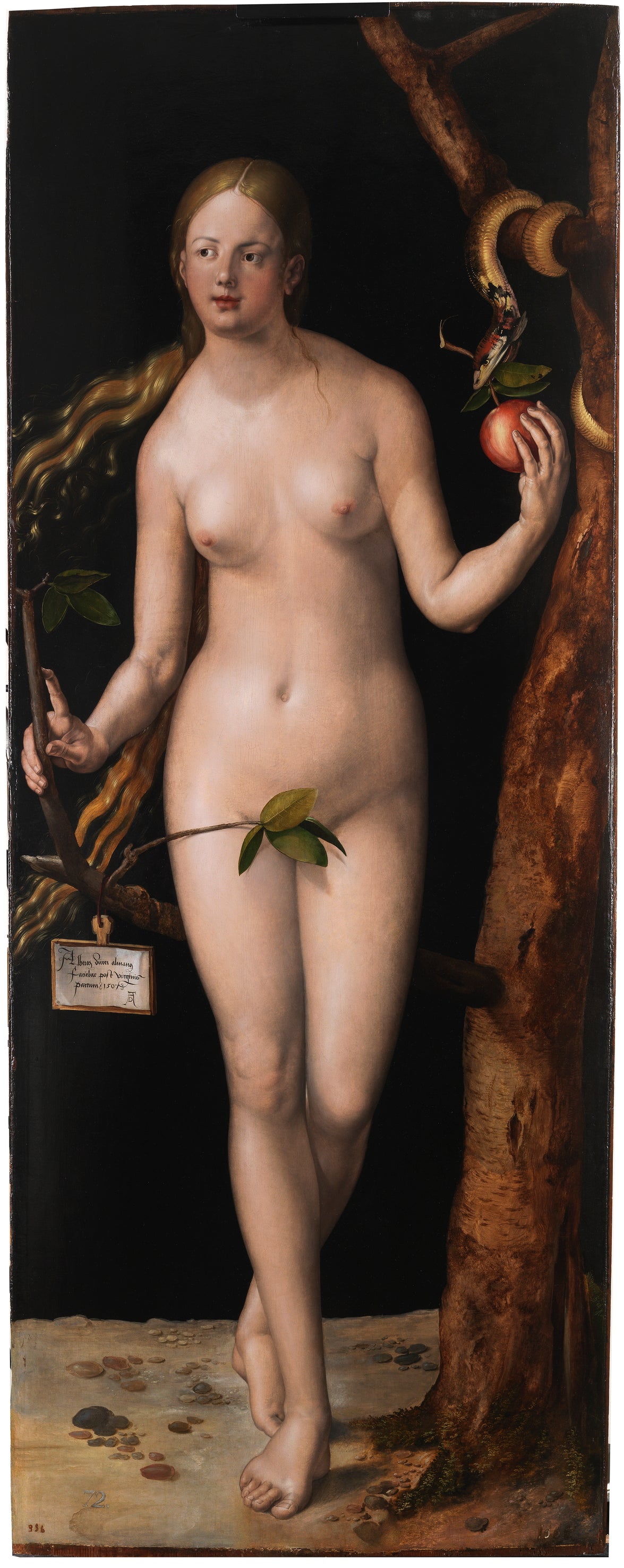 Eve - Albrecht Dürer