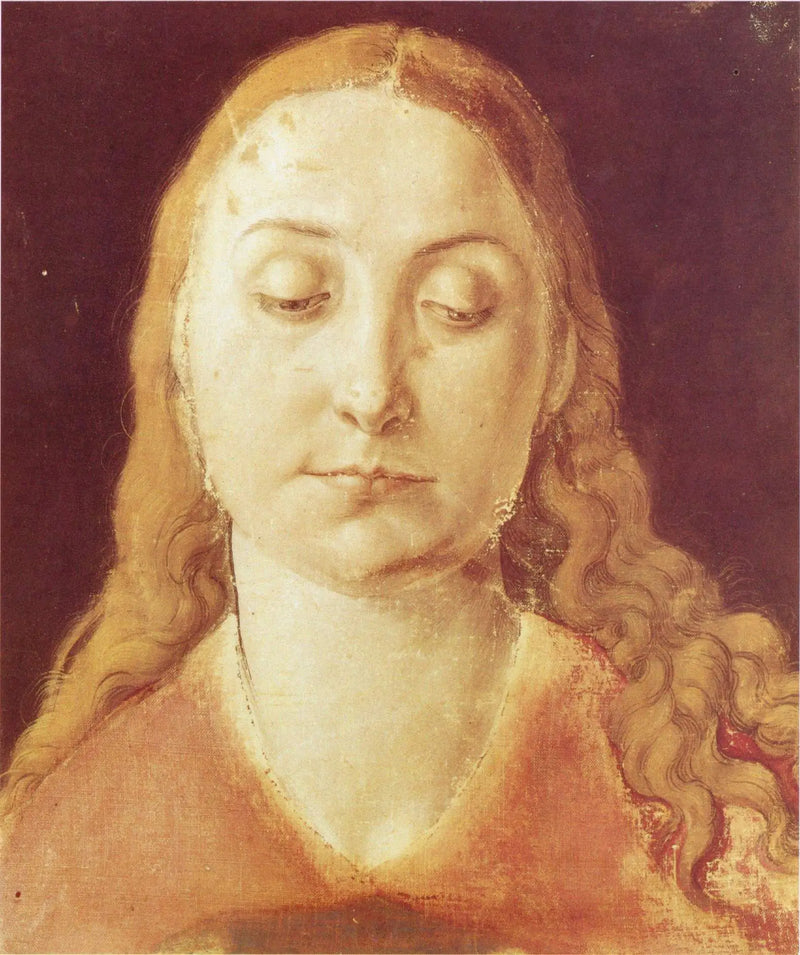 Kadın Başlığı - Albrecht Dürer