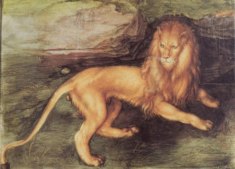 Aslan - Albrecht Dürer