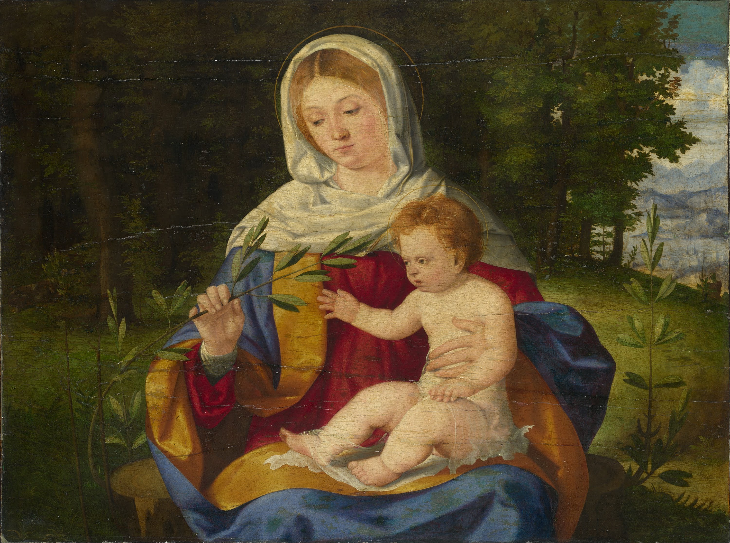 La Vierge à l'Enfant avec un rameau d'olivier - Andrea Previtali