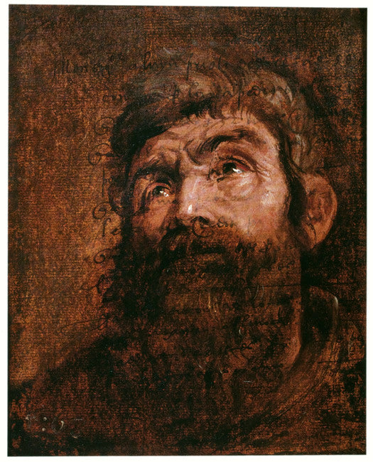 Étude de la tête d'un apôtre - Antoine van Dyck