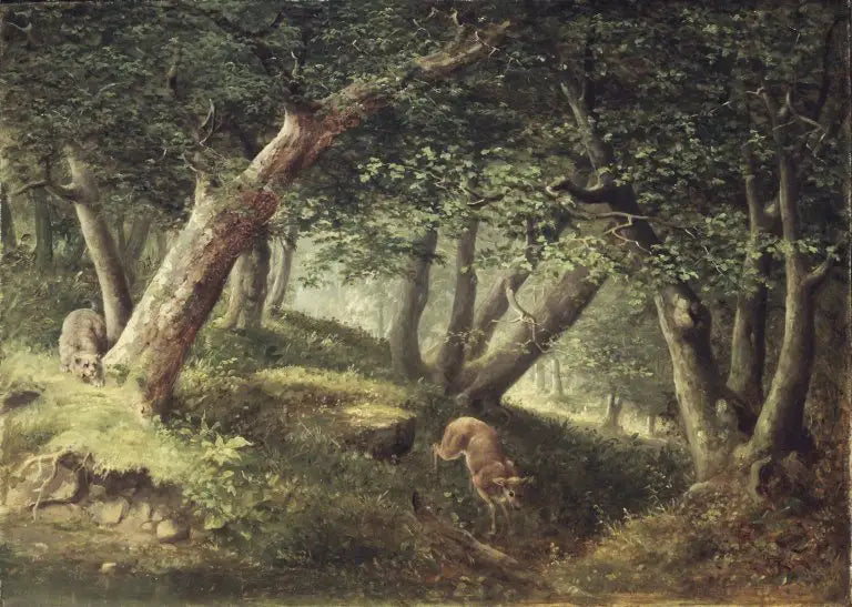 Ormanda - William Holbrook