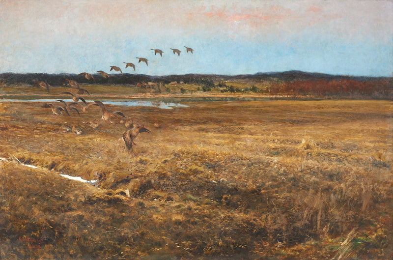 Fällande vildgäss - Bruno Liljefors