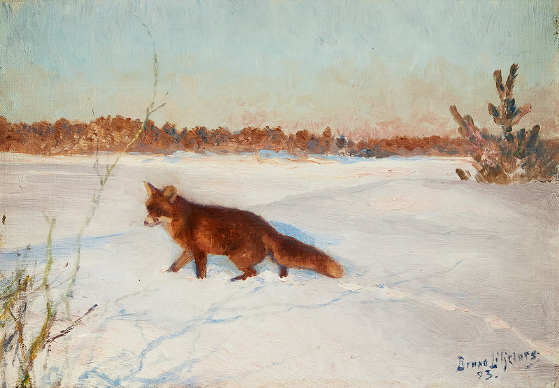 Renard dans un paysage hivernal enneigé - Bruno Liljefors