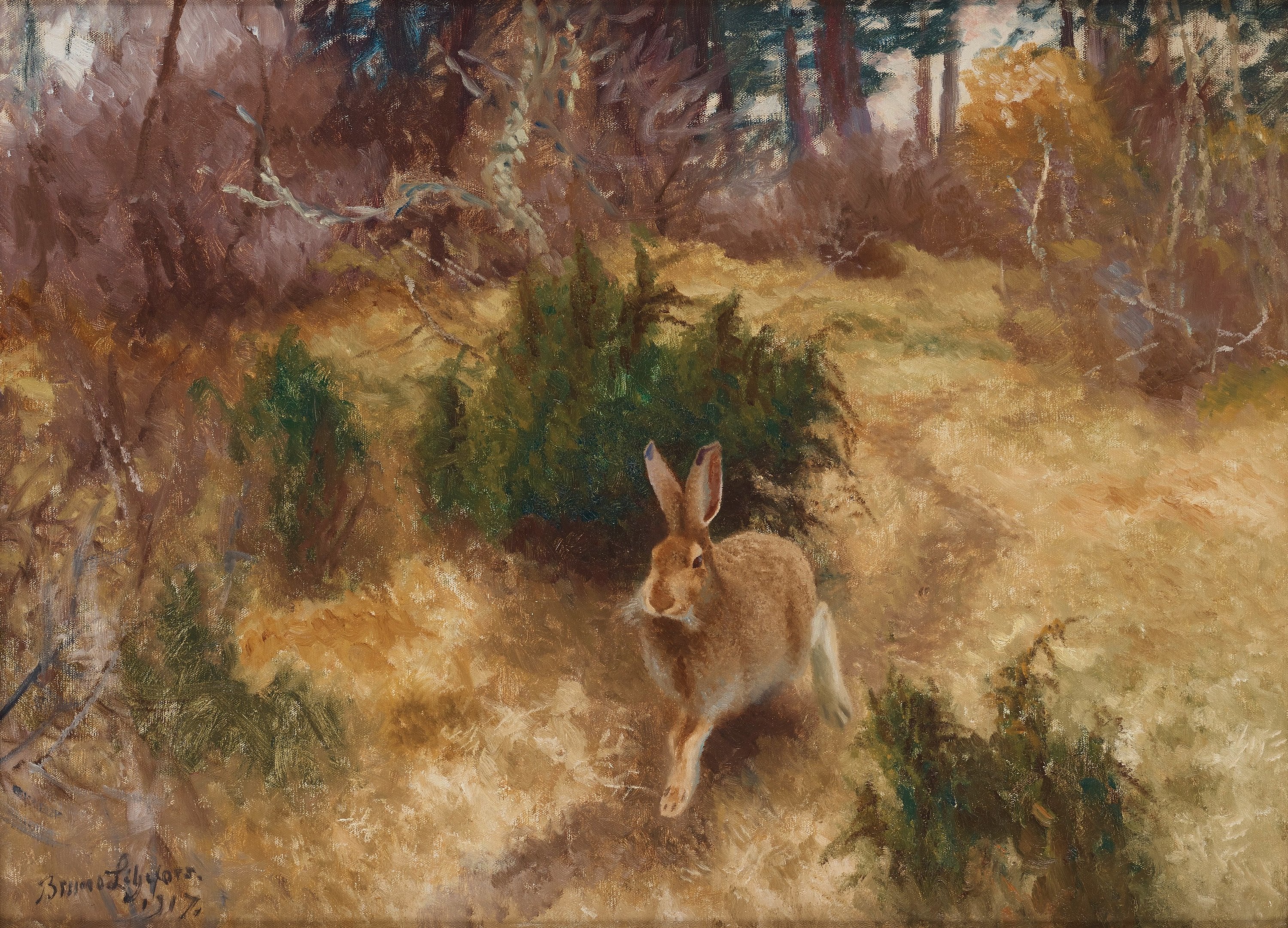 Lièvre dans un paysage d'automne - Bruno Liljefors