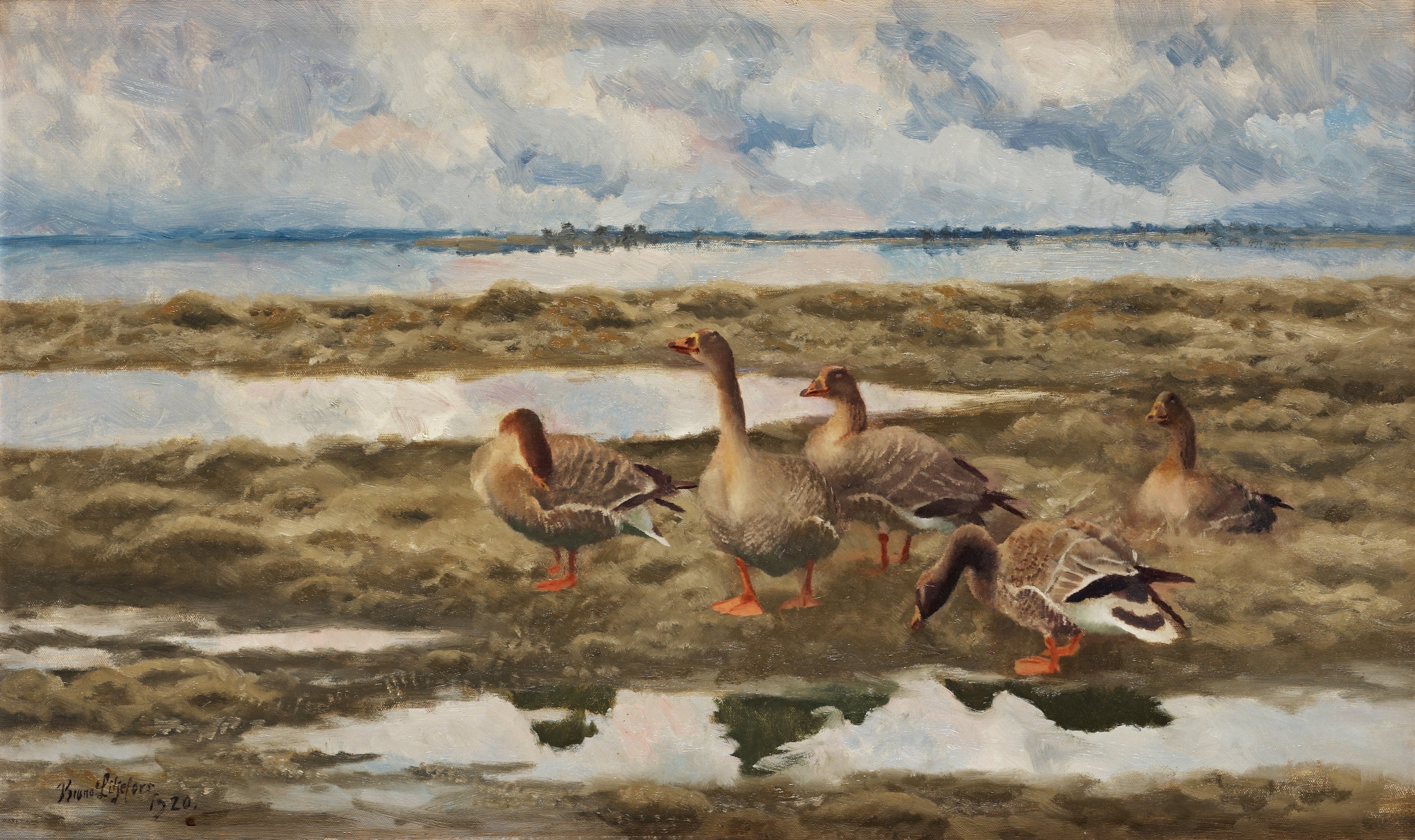 Paysage avec des oies - Bruno Liljefors