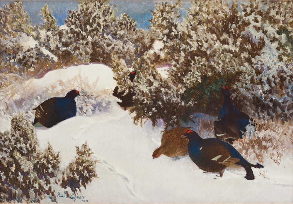 Tétras lyre dans un paysage hivernal - Bruno Liljefors