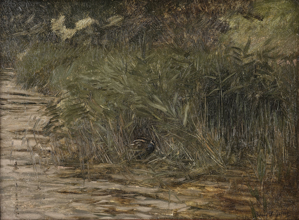 Bécassine dans les roseaux - Bruno Liljefors