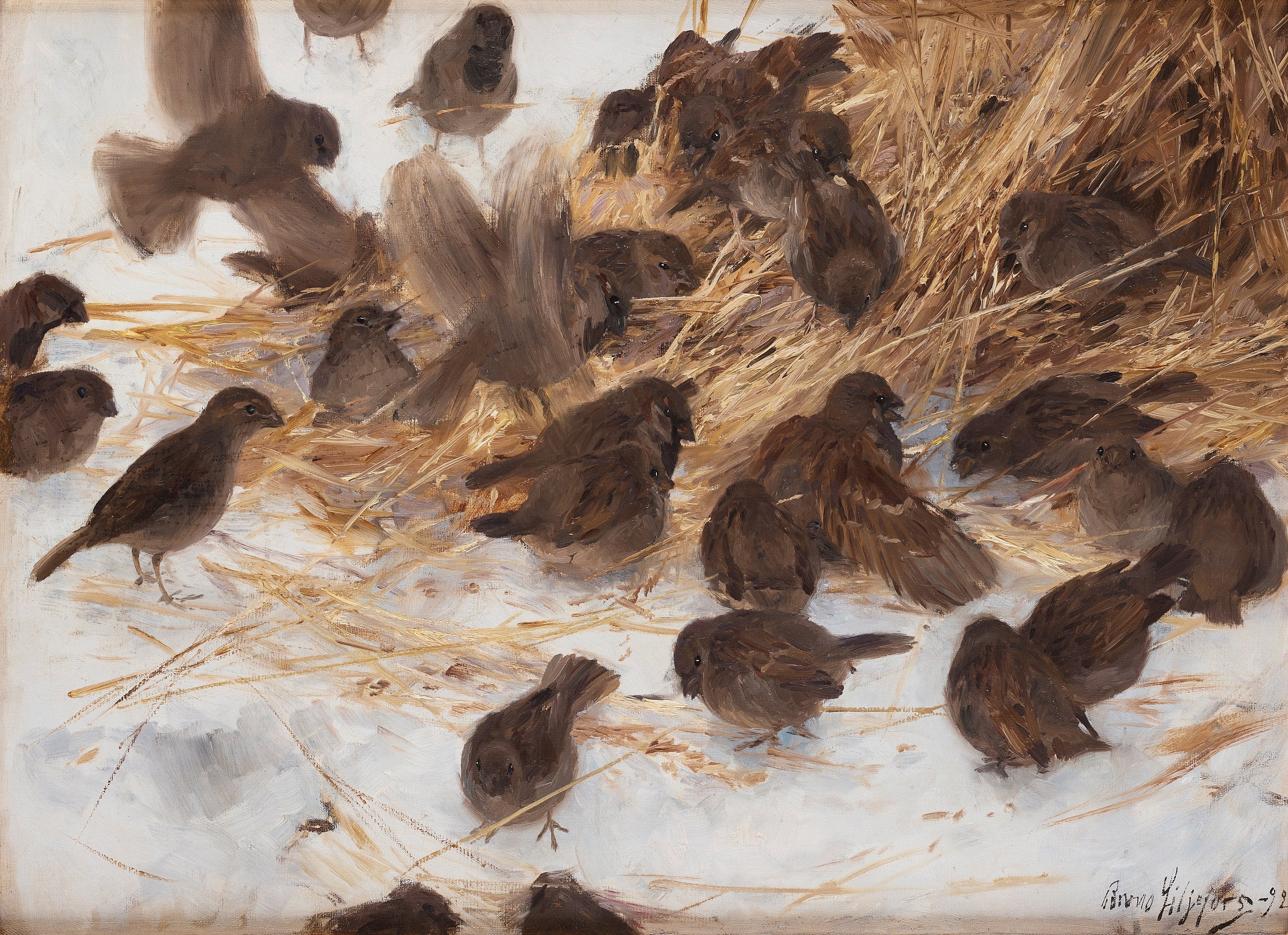Moineaux sur une gerbe d'avoine - Bruno Liljefors