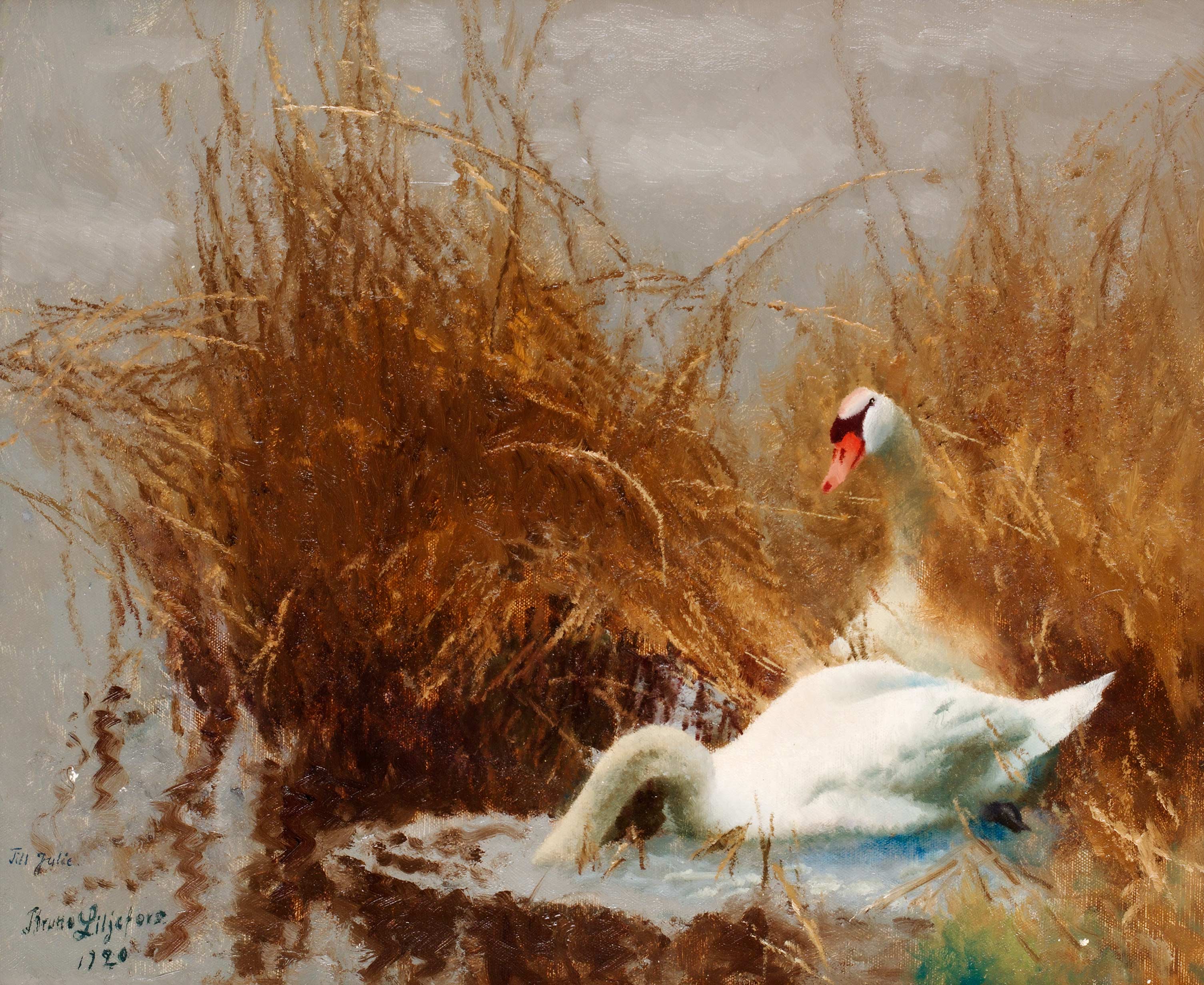 Svanar vid strandkanten - Bruno Liljefors