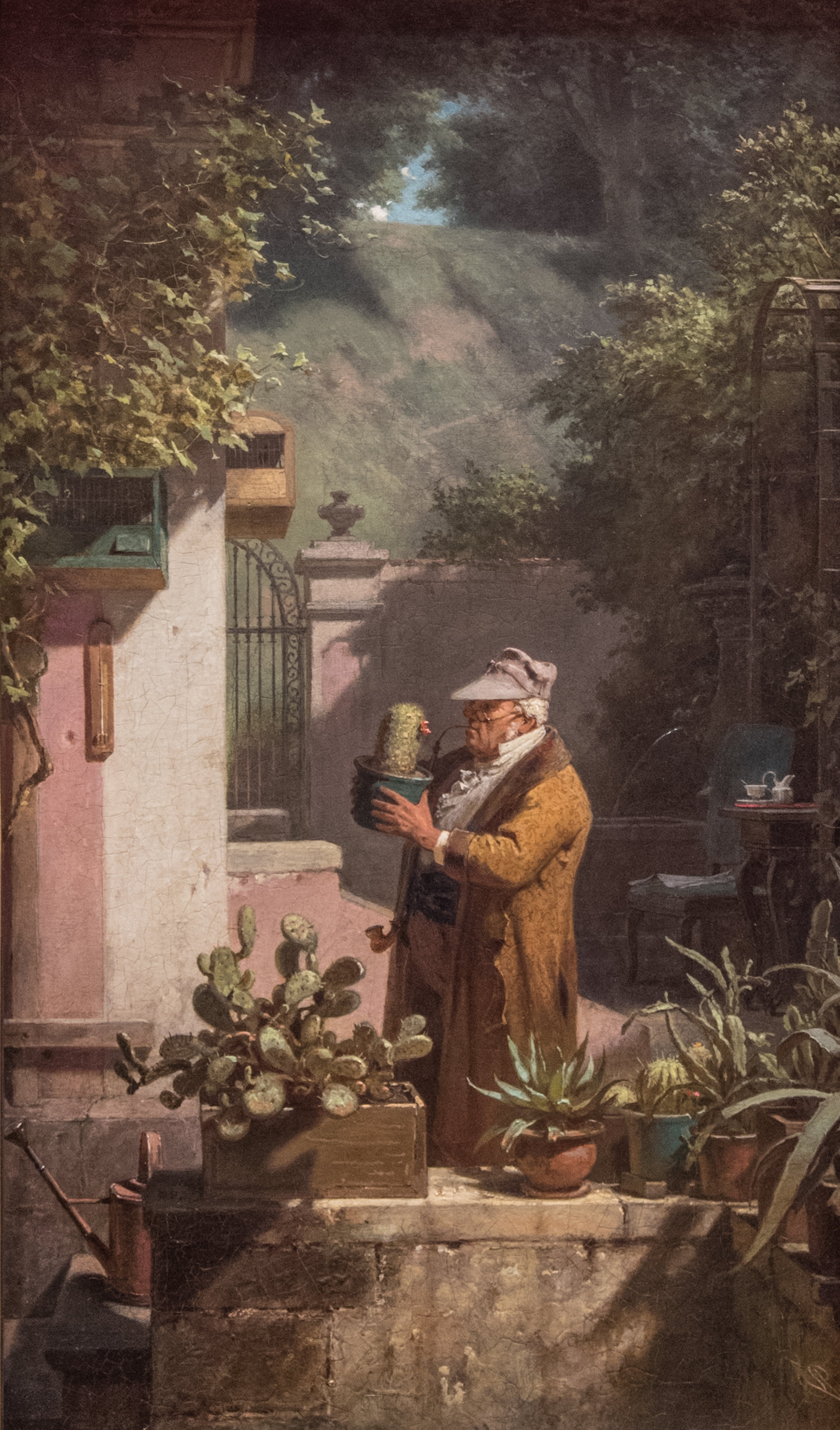 Kaktüs Meraklısı - Carl Spitzweg