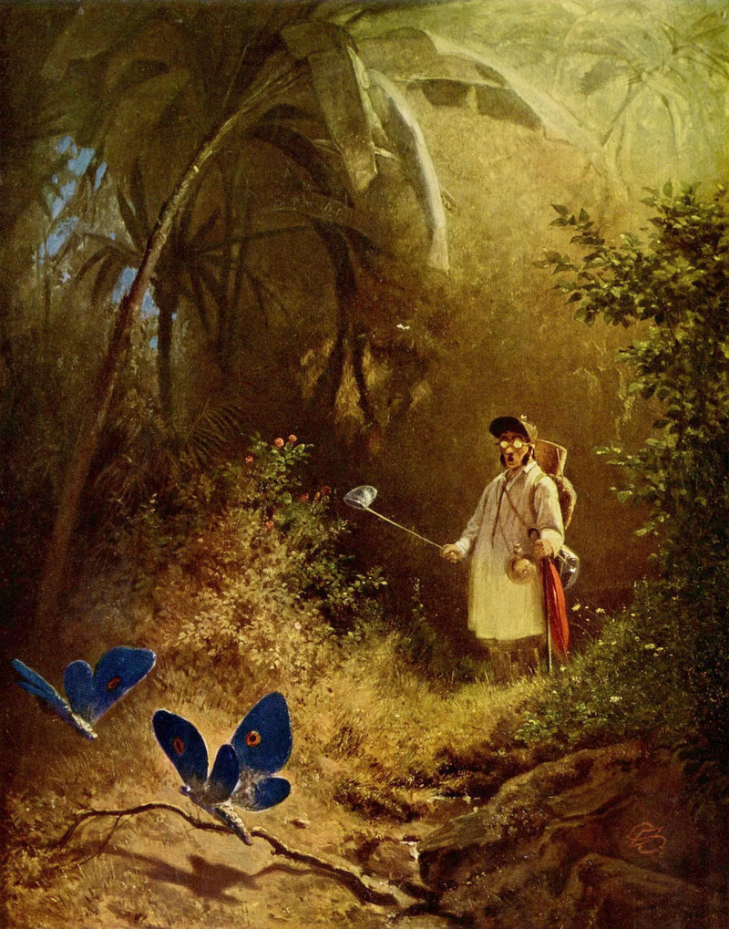 Kelebek Avcısı - Carl Spitzweg