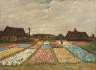 Hollanda'da Çiçek Tarlaları - Vincent van Gogh