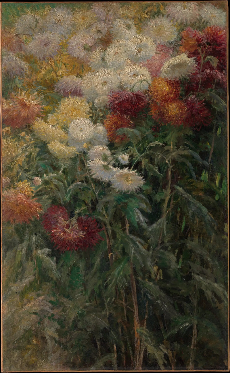 Petit Gennevilliers Bahçesinde Krisantemler - Gustave Caillebotte