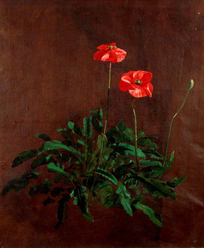 Étude de coquelicots - John Constable