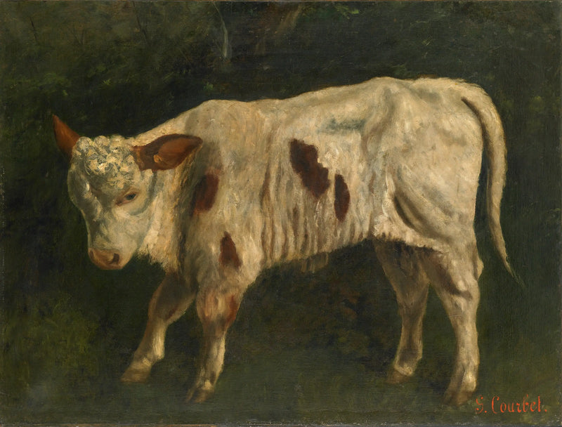 Beyaz Buzağı - Gustave Courbet