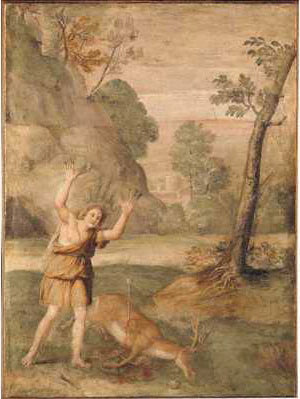 La transformation de Cyparissus - Domenichino
