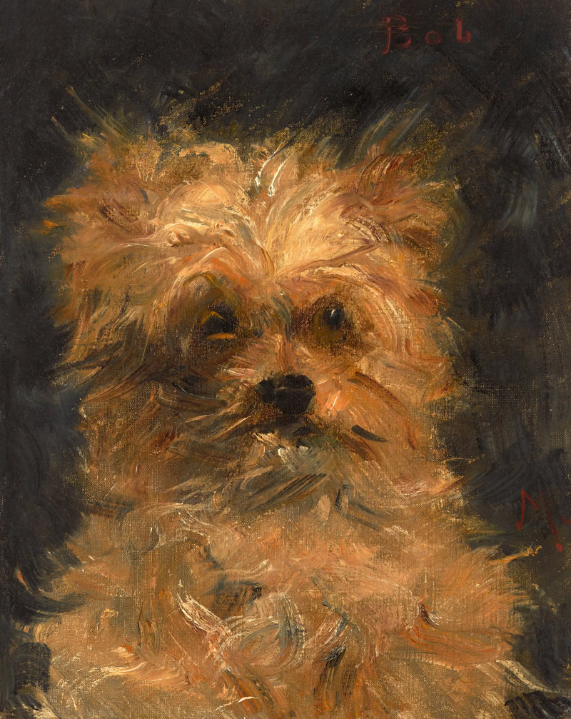 Bob, griffon köpeği - Édouard Manet