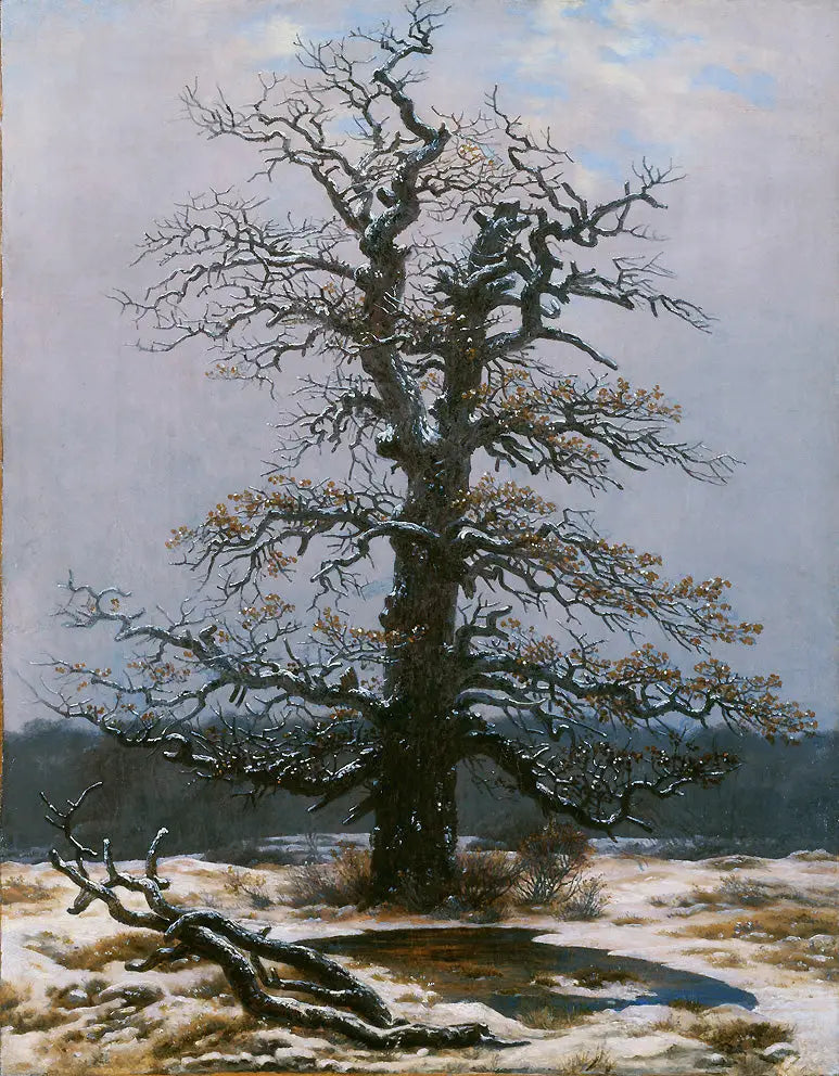 Kar Altındaki Meşe - Caspar David Friedrich