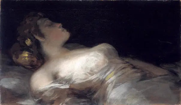 Rüya - Francisco de Goya
