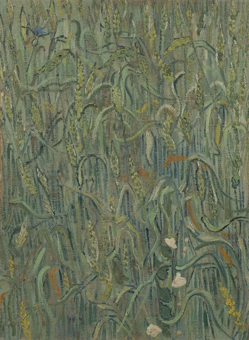 Buğday başakları - Vincent van Gogh
