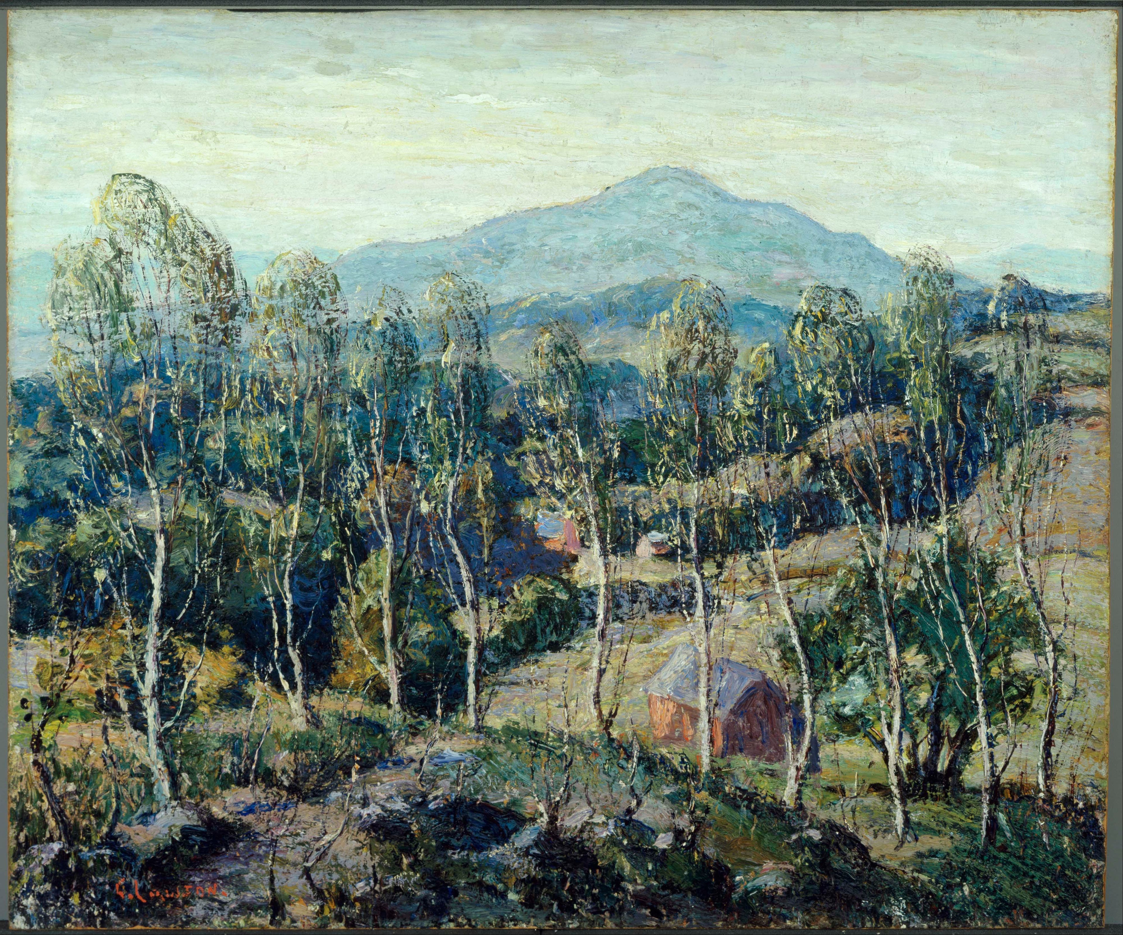 Bouleaux de Nouvelle-Angleterre - Ernest Lawson
