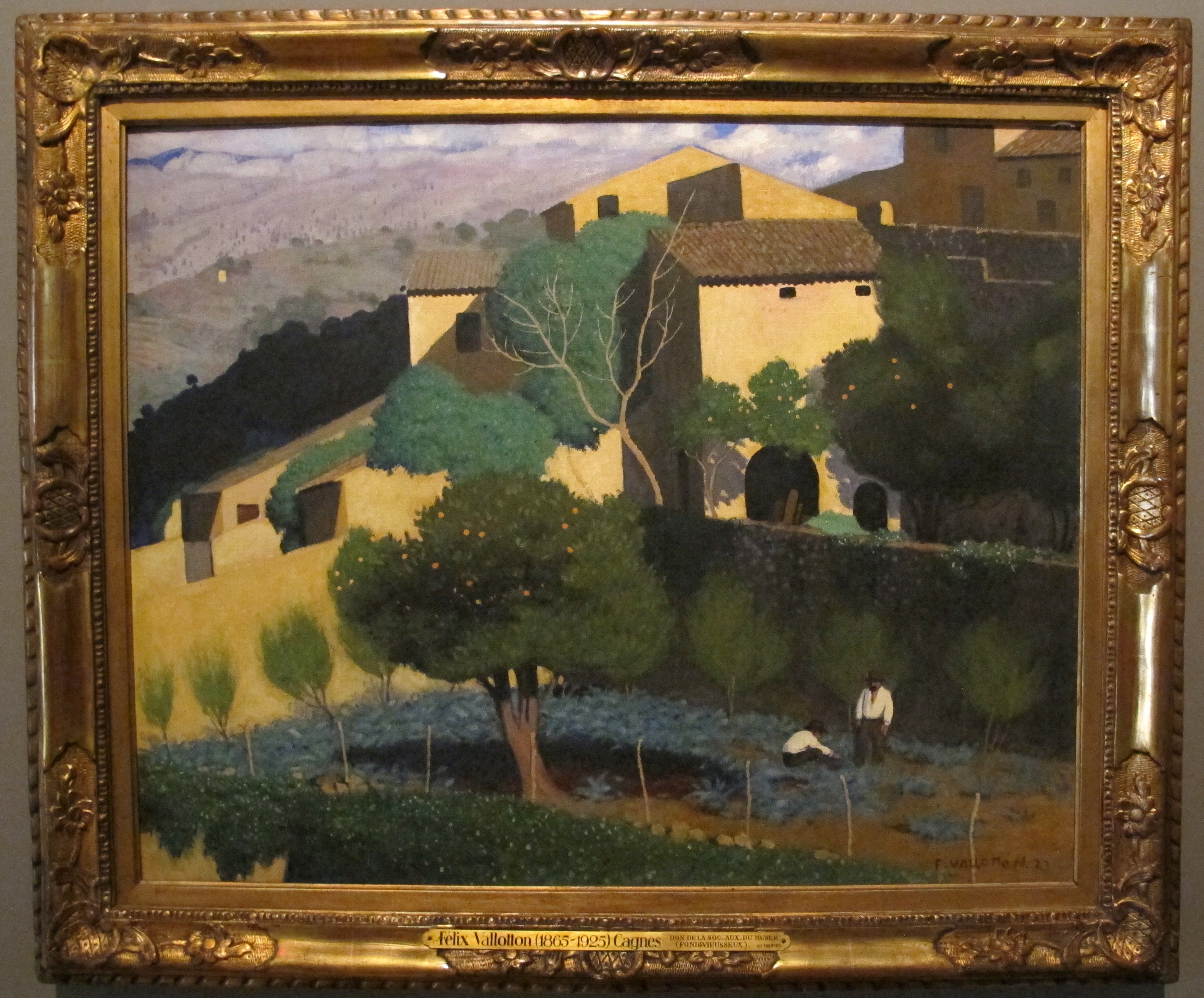 Jardin d'agrumes à Cagnes - Félix Vallotton