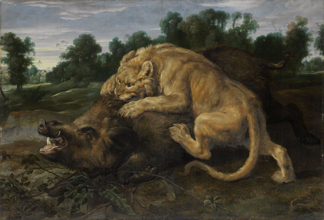 Un lion tuant un sanglier - Frans Snyders