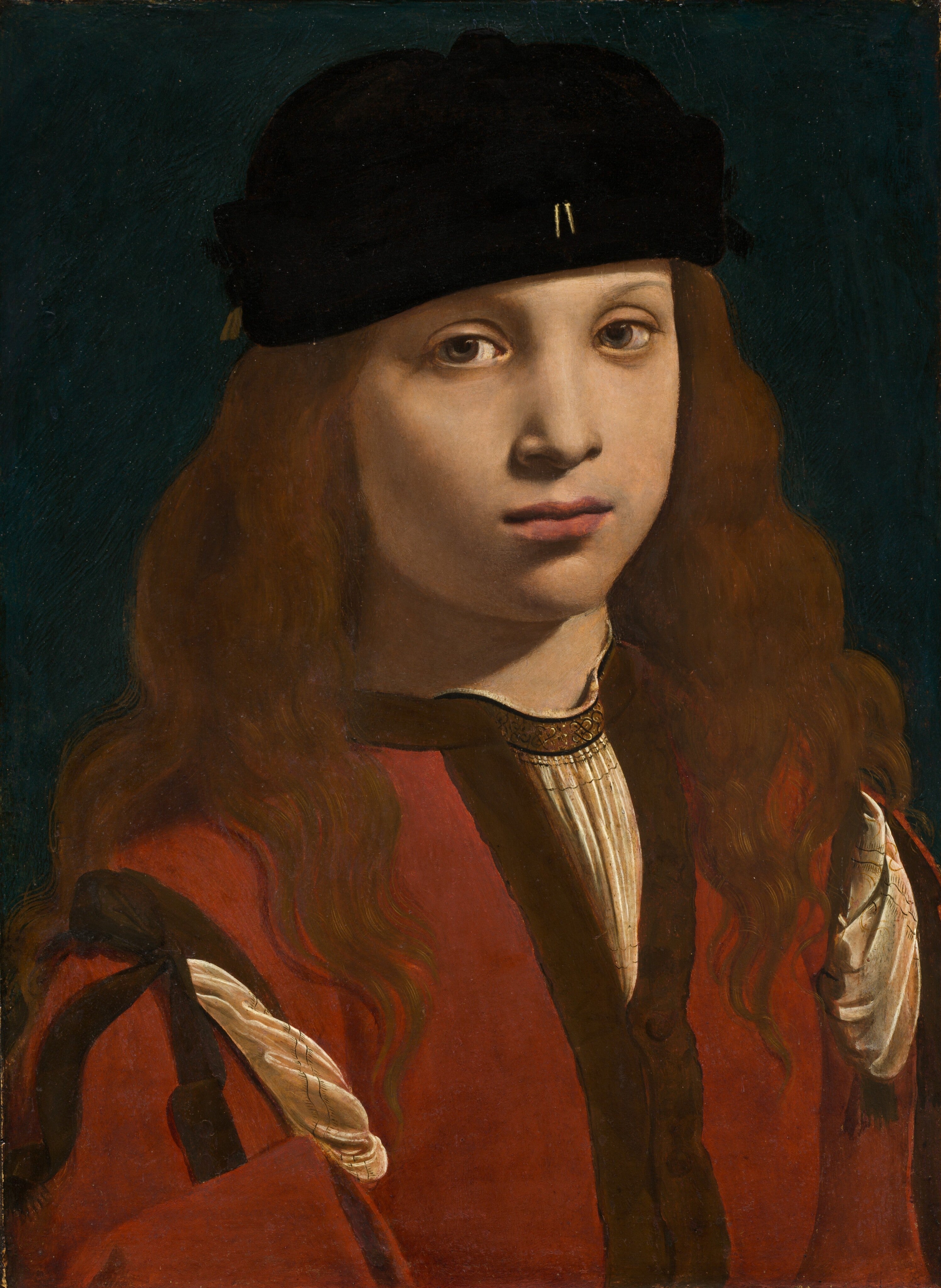 Portrait d'un jeune - Giovanni Antonio Boltraffio