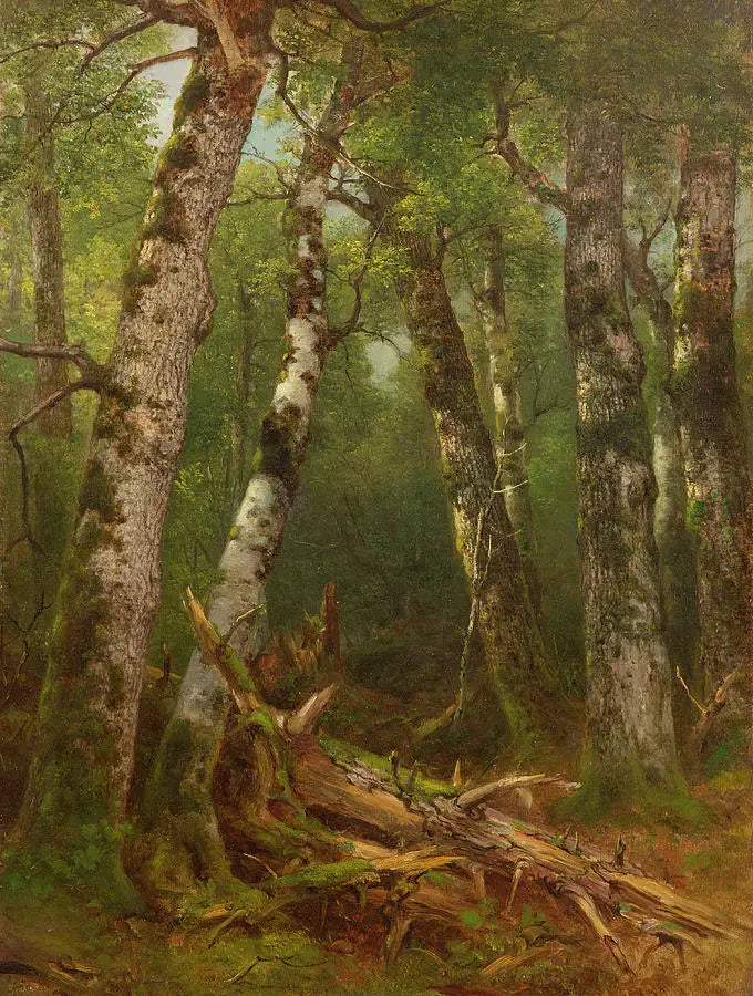 Groupe d’arbres - Asher Brown Durand - Alpha Reproduction