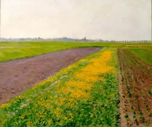 Gennevilliers Ovası - Gustave Caillebotte