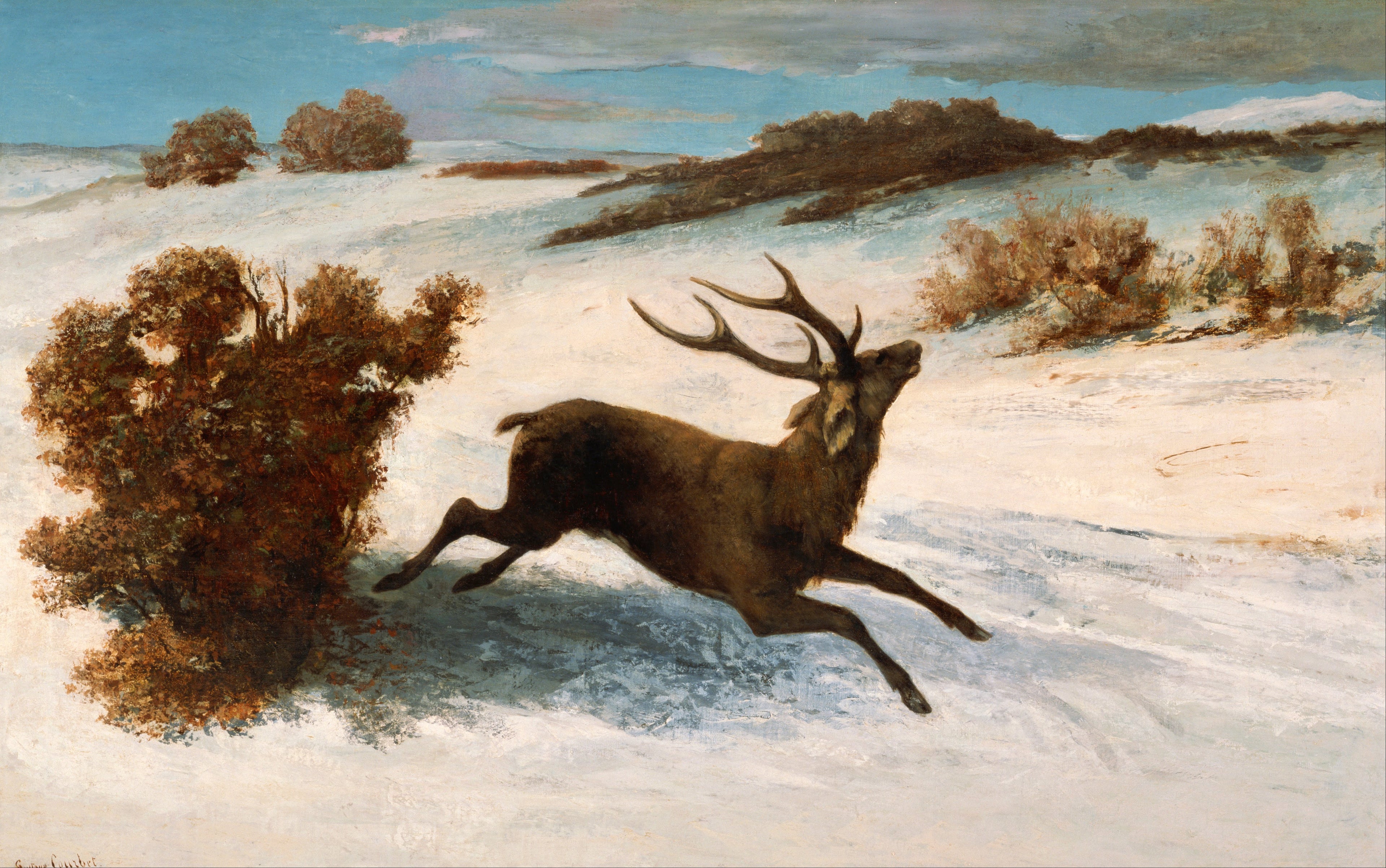 Cerf courant dans la neige - Gustave Courbet