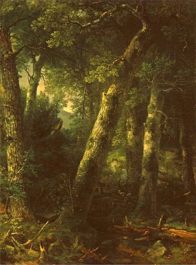Forêt dans la lumière du matin - Asher Brown Durand - Alpha Reproduction