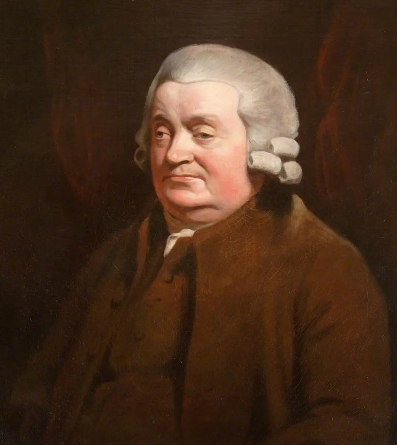 James Johnston (1721–1797), cerrah, Dundee müftüsü (1790–1791) - Henry Raeburn