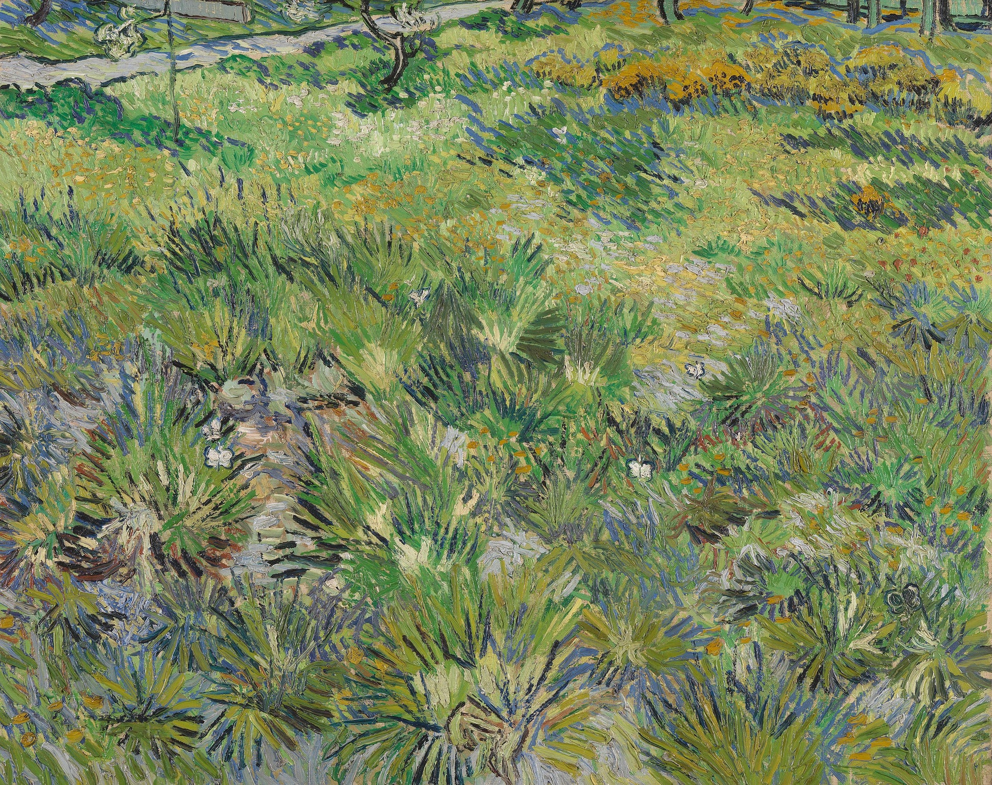 Uzun otlar ve kelebekler - Vincent van Gogh