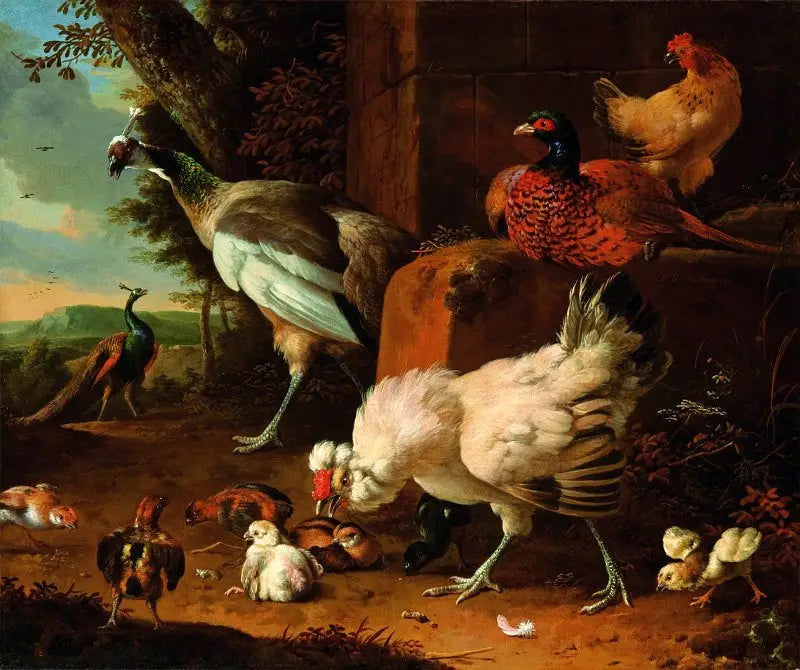 Evcil kümes hayvanları, bir keklik ve tavus kuşlarıyla - Melchior de Hondecoeter