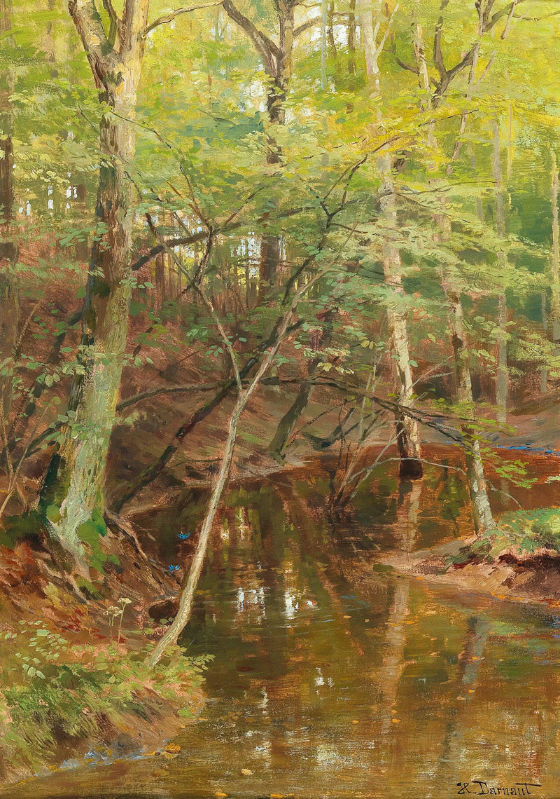 Ruisseau Woodland - Hugo Darnaut