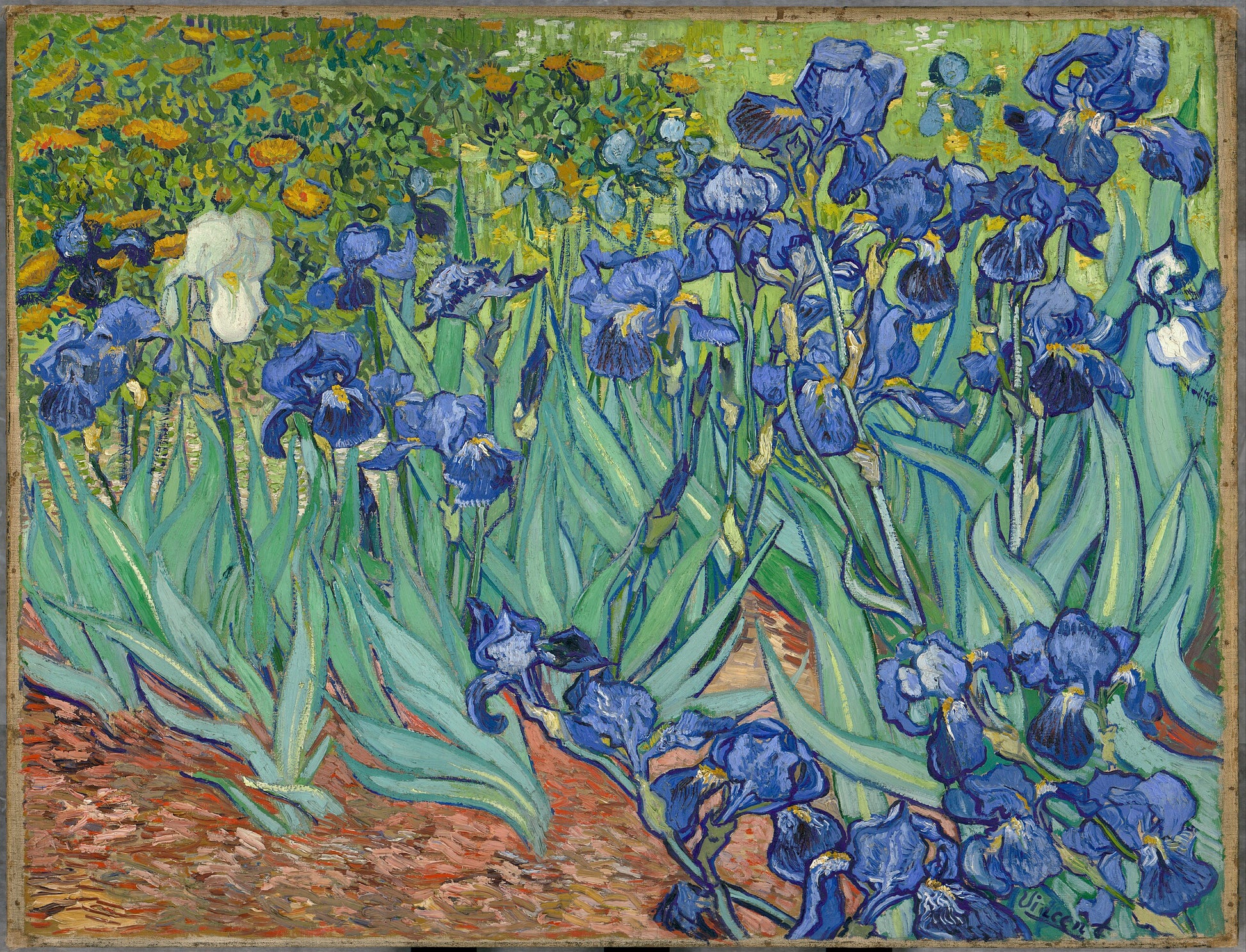 İris - Vincent van Gogh